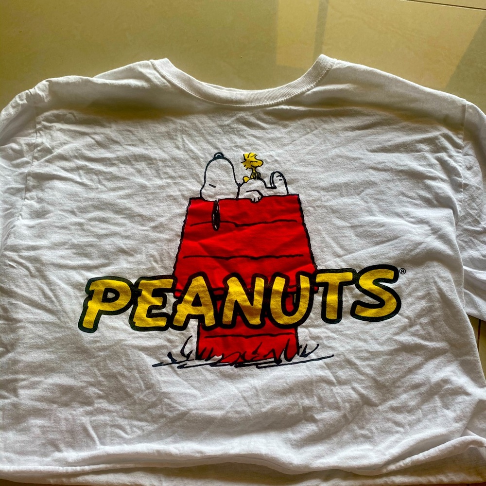 Peanuts - Charlie Brown Crop top